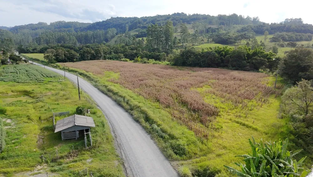 Terreno, 2 hectares - Foto 6