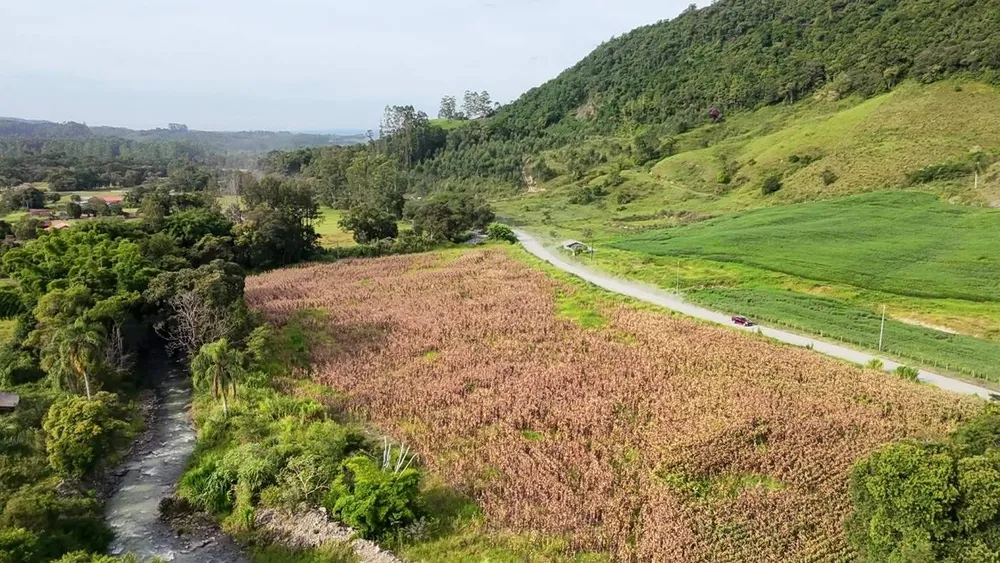 Terreno, 2 hectares - Foto 7