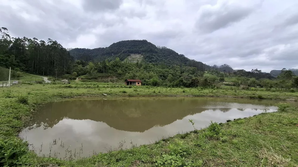 Fazenda à venda com 1 quarto, 10000m² - Foto 3