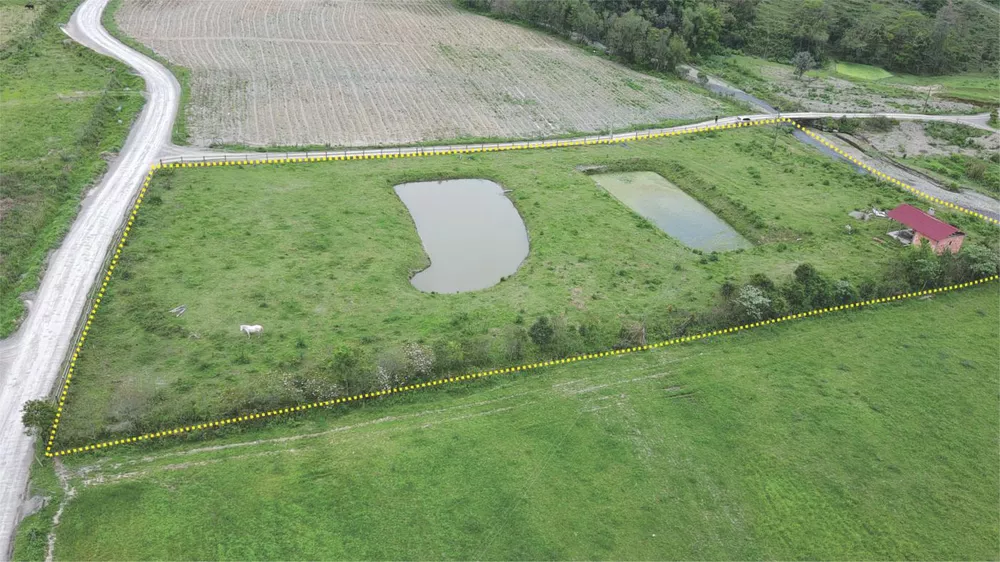 Fazenda à venda com 1 quarto, 10000m² - Foto 5