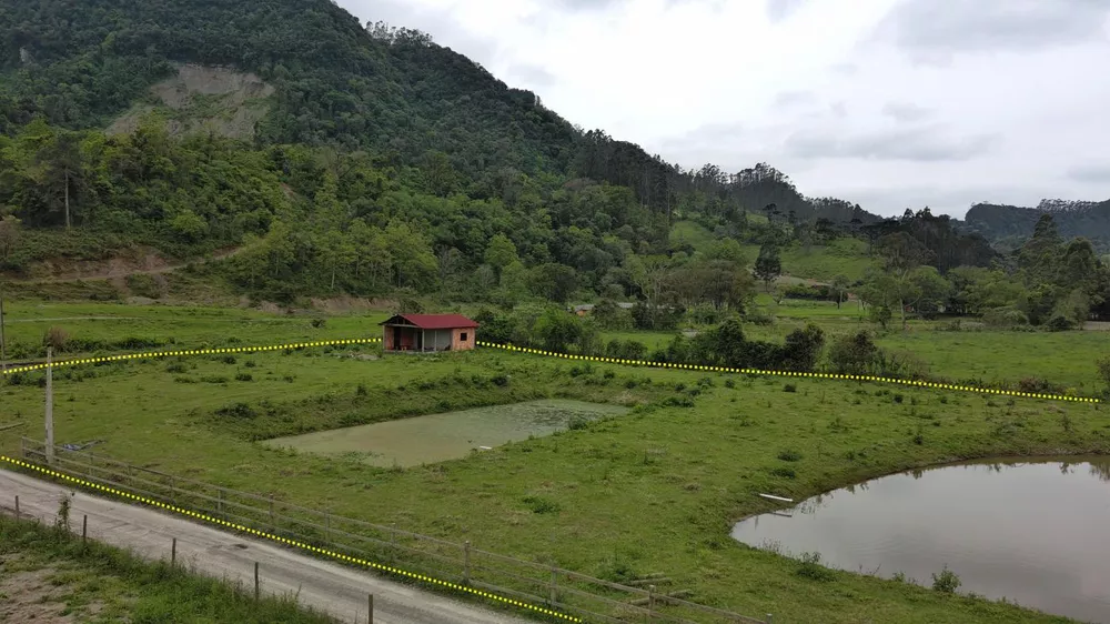 Fazenda à venda com 1 quarto, 10000m² - Foto 4