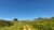 Fazenda-Sítio-Chácara, 93 hectares - Foto 1