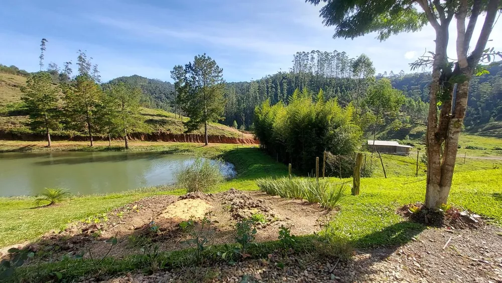 Fazenda à venda com 4 quartos, 4140000m² - Foto 2