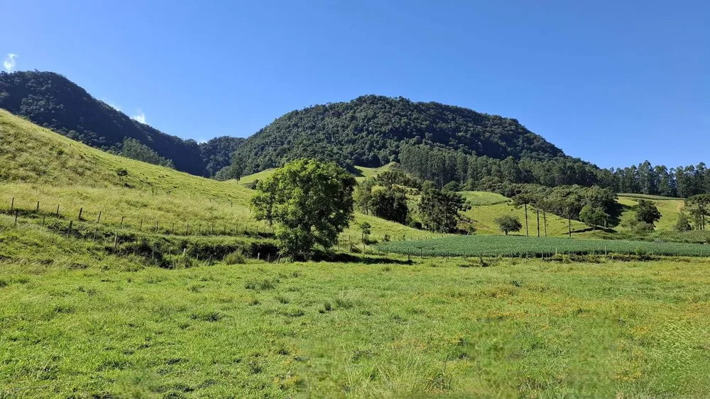 Sítio, 16 hectares - Foto 10
