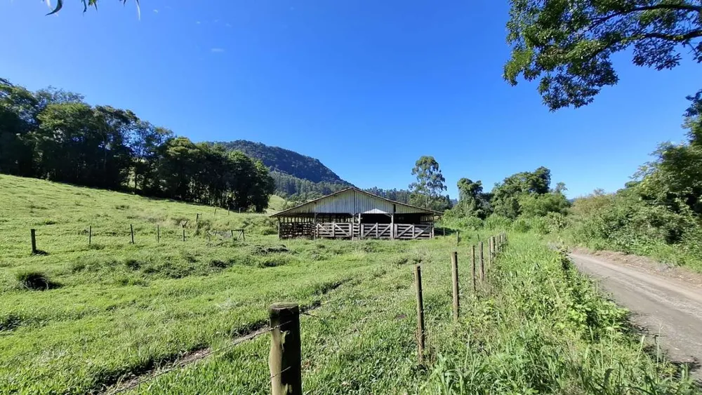 Sítio, 16 hectares - Foto 6