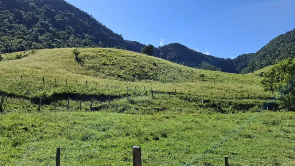 Sítio, 16 hectares - Foto 4