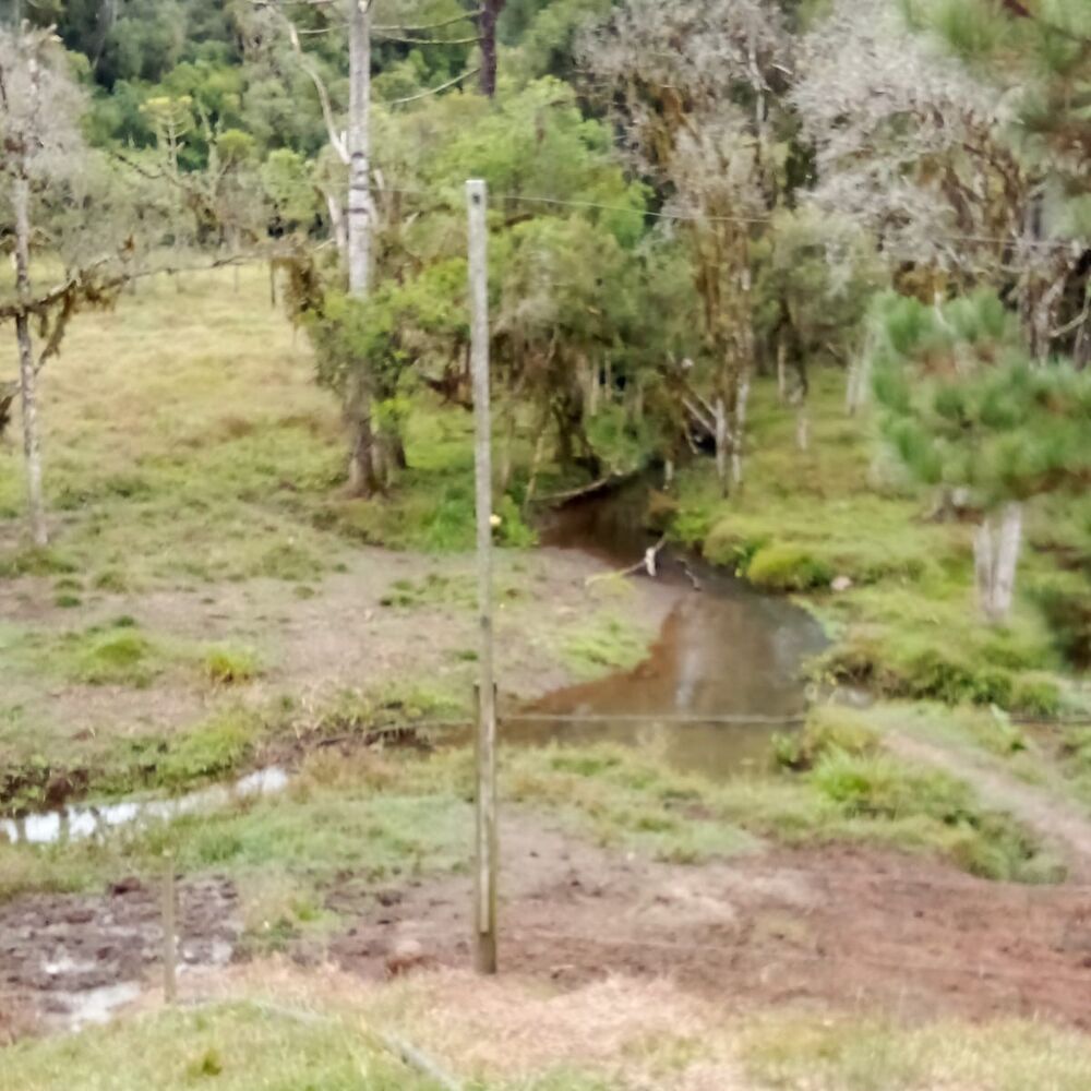 Sítio à venda com 3 quartos, 40000m² - Foto 8