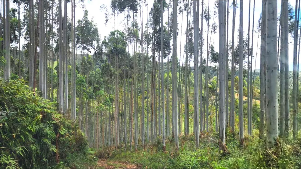 Fazenda à venda, 1564600m² - Foto 1