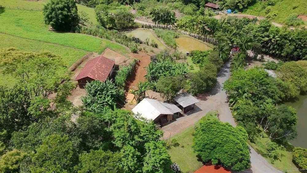Sítio, 6 quartos, 8 hectares - Foto 4