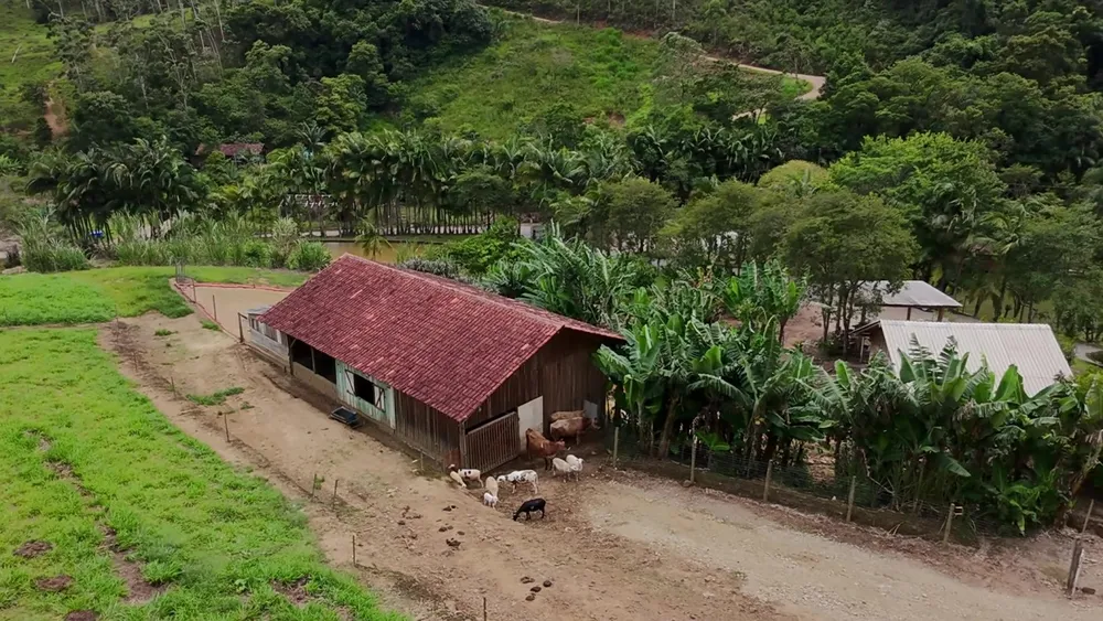 Sítio, 6 quartos, 8 hectares - Foto 7