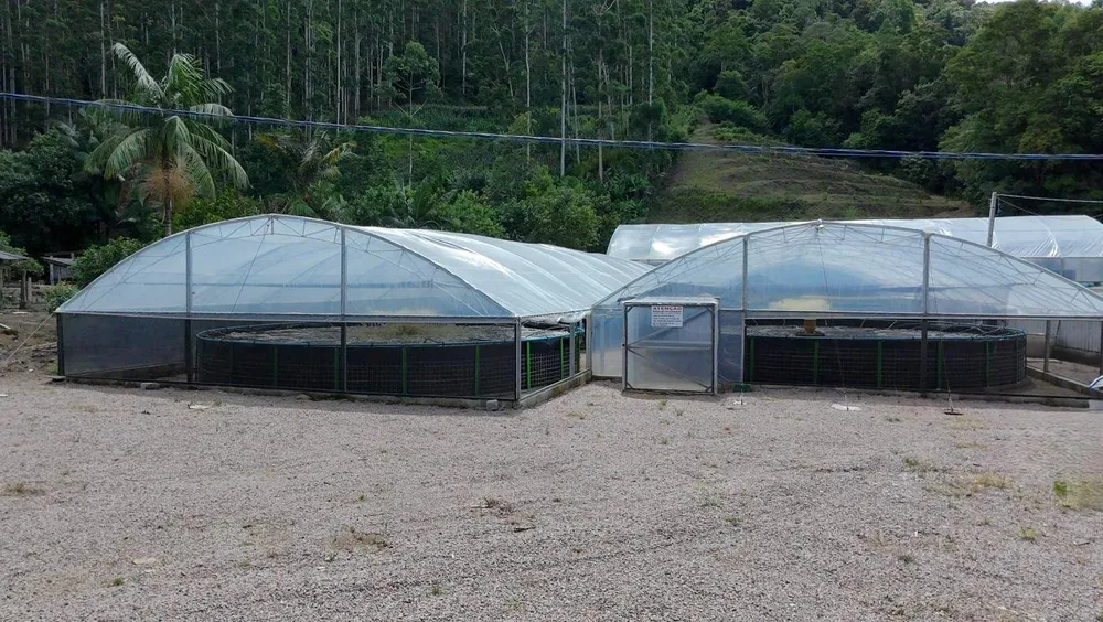 Sítio, 6 quartos, 8 hectares - Foto 1