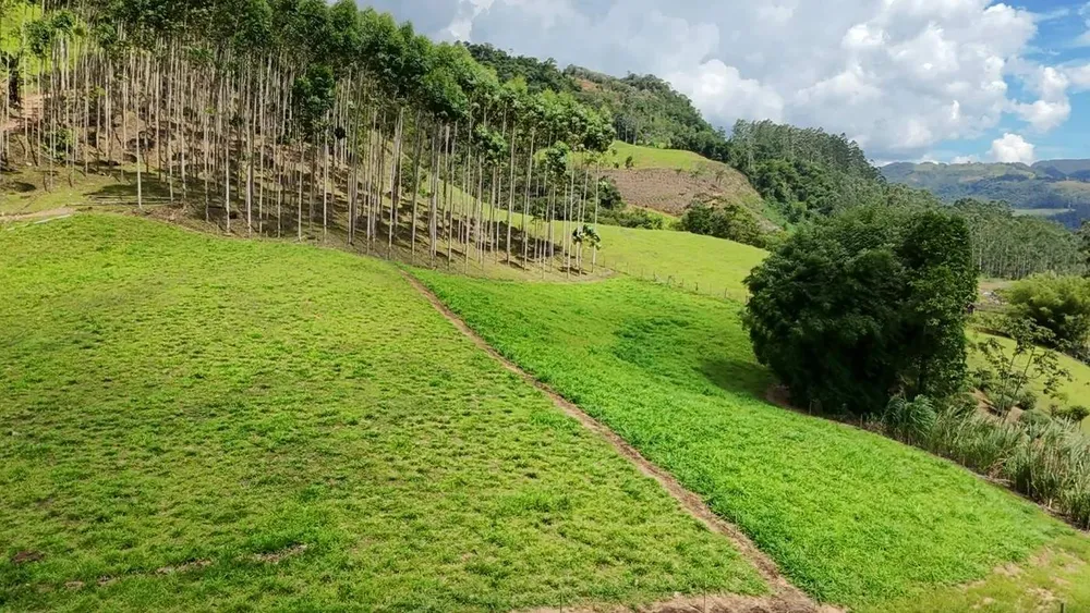 Sítio, 6 quartos, 8 hectares - Foto 1