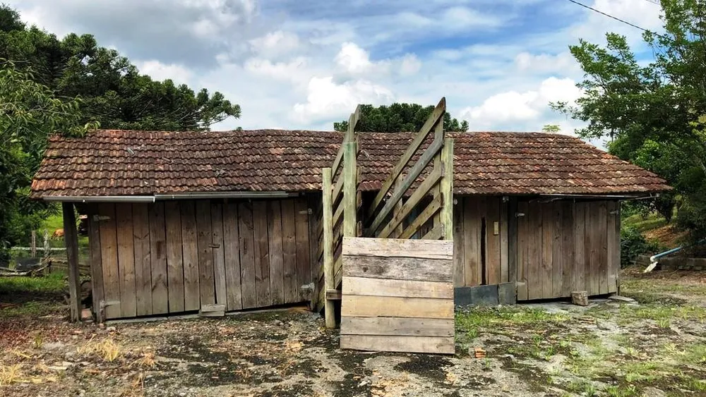 Sítio, 2 quartos, 4 hectares - Foto 12