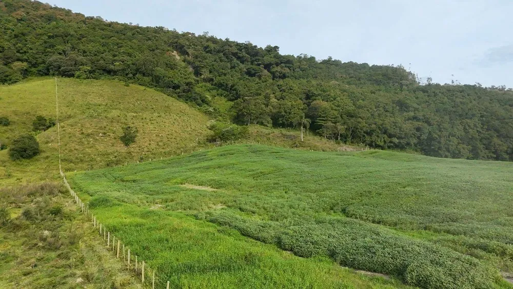Sítio, 9 hectares - Foto 12