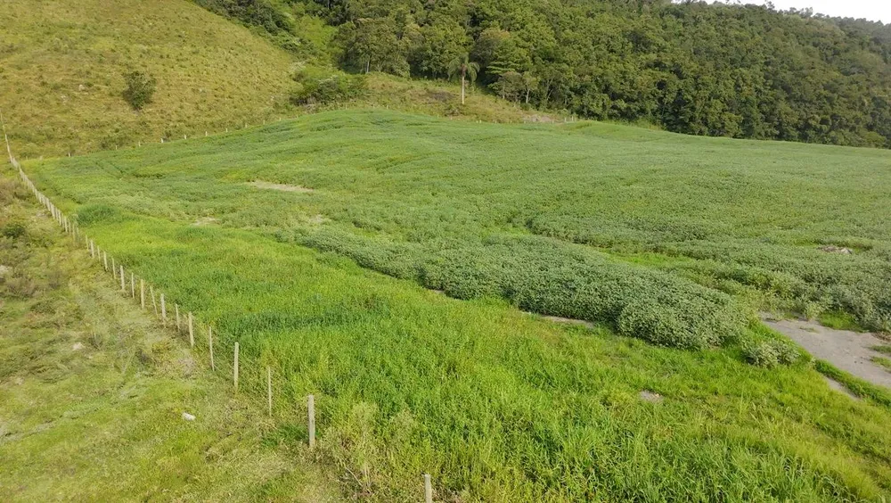 Sítio, 9 hectares - Foto 11