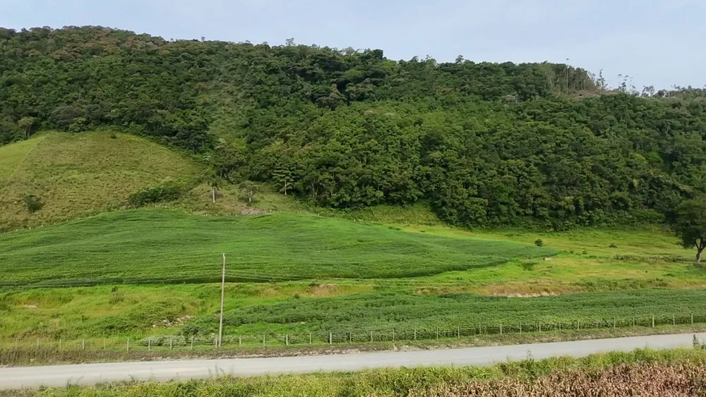 Sítio, 9 hectares - Foto 1