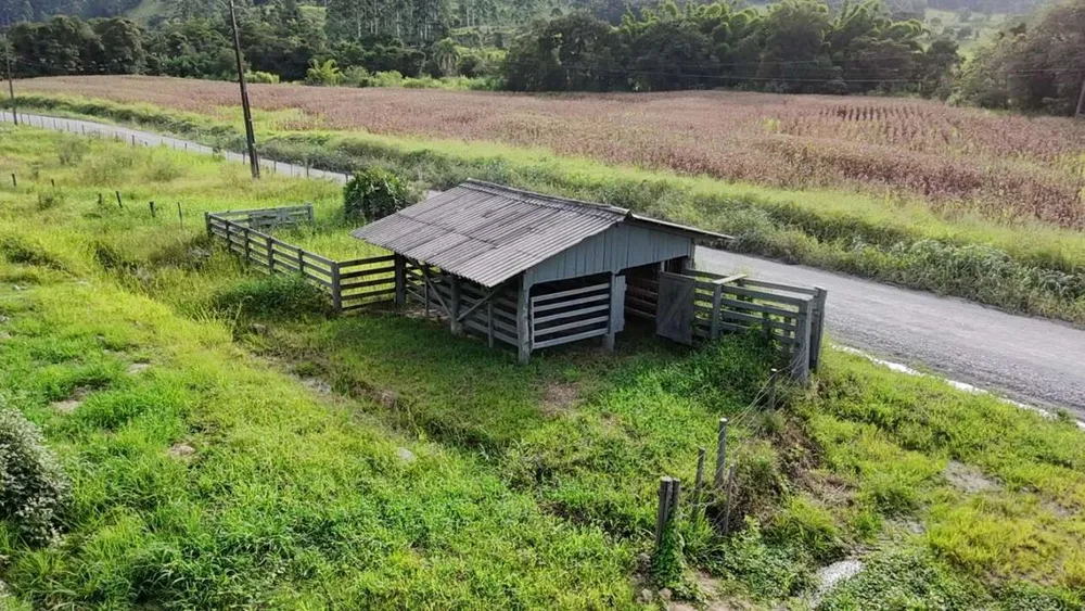 Sítio, 9 hectares - Foto 13