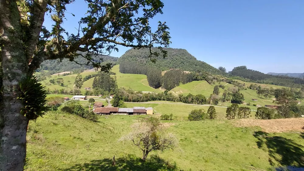 Fazenda à venda com 4 quartos, 101500m² - Foto 3