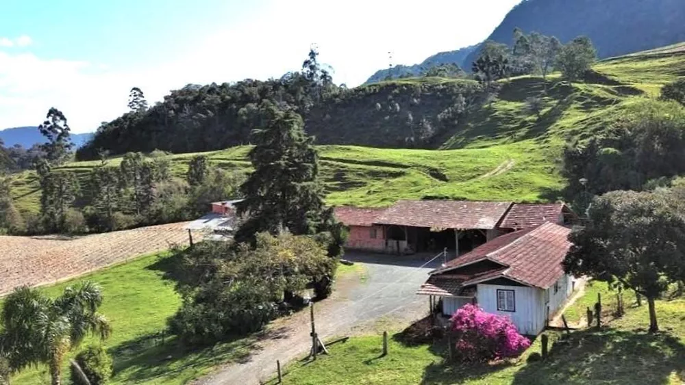 Fazenda à venda com 4 quartos, 101500m² - Foto 1