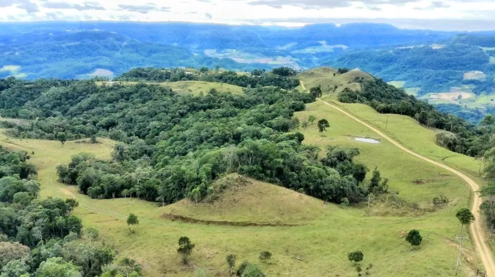 Fazenda à venda com 2 quartos, 862000m² - Foto 4