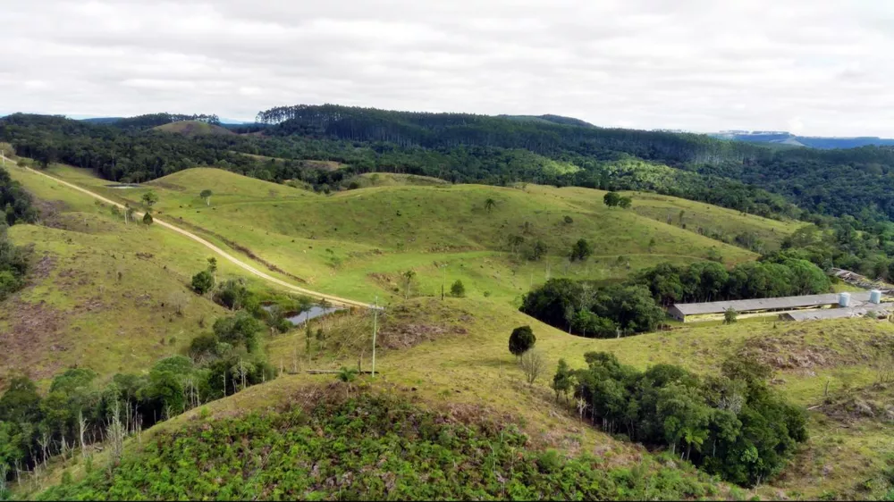 Fazenda à venda com 2 quartos, 862000m² - Foto 1