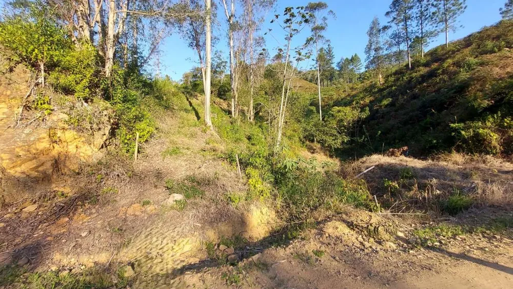 Sítio, 13 hectares - Foto 3