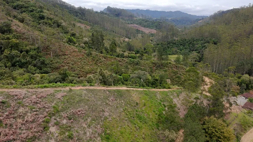 Sítio, 13 hectares - Foto 11