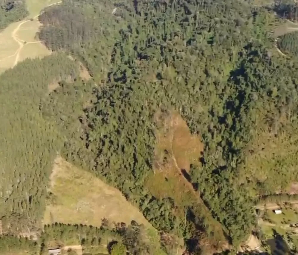 Sítio, 13 hectares - Foto 4