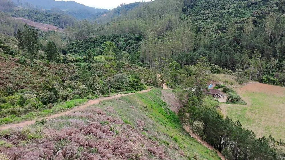 Sítio, 13 hectares - Foto 10