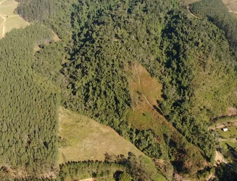 Sítio, 13 hectares - Foto 6
