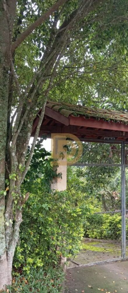 Chácara, 3 quartos, 1800 m² - Foto 5