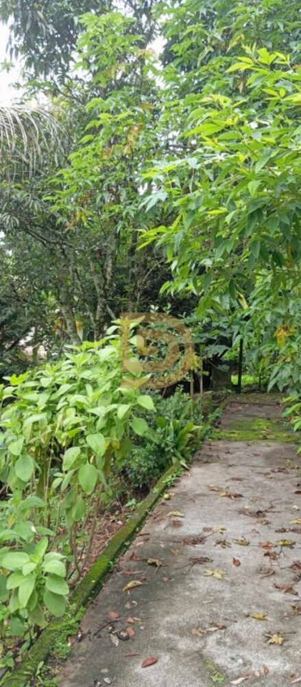 Chácara, 3 quartos, 1800 m² - Foto 13