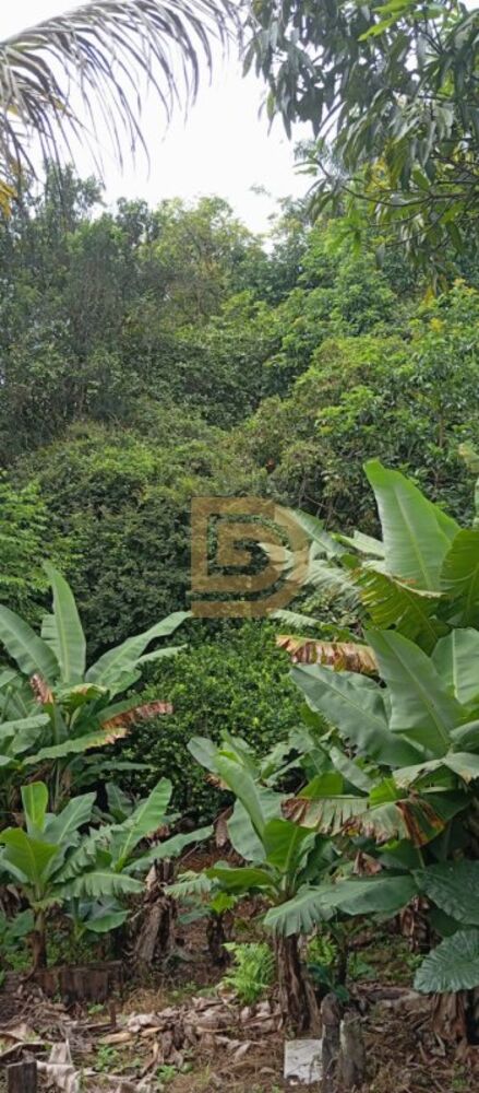 Chácara, 3 quartos, 1800 m² - Foto 6