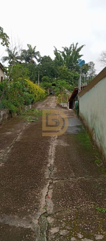 Chácara, 3 quartos, 1800 m² - Foto 11