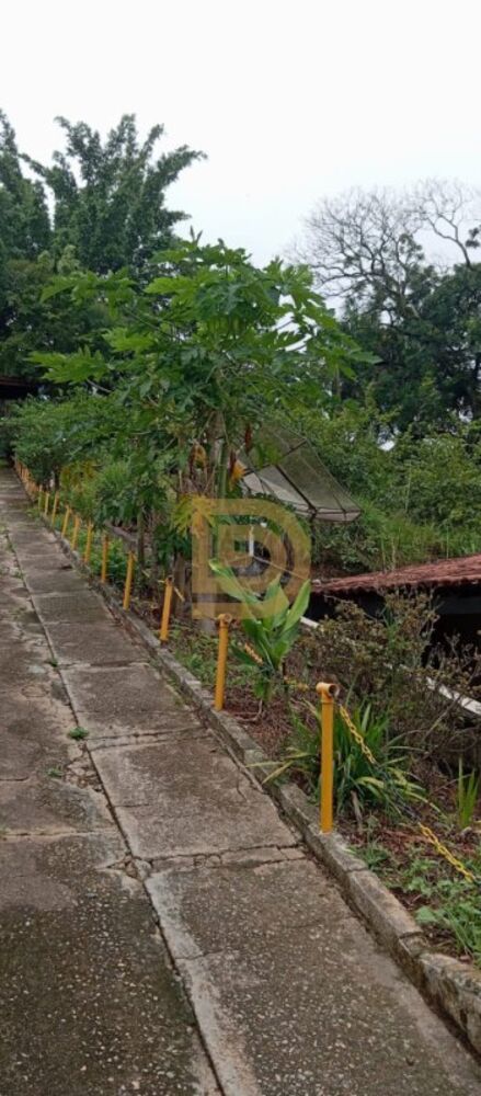 Chácara, 3 quartos, 1800 m² - Foto 2