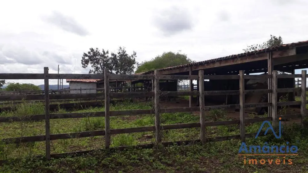 Fazenda, 150 hectares - Foto 4