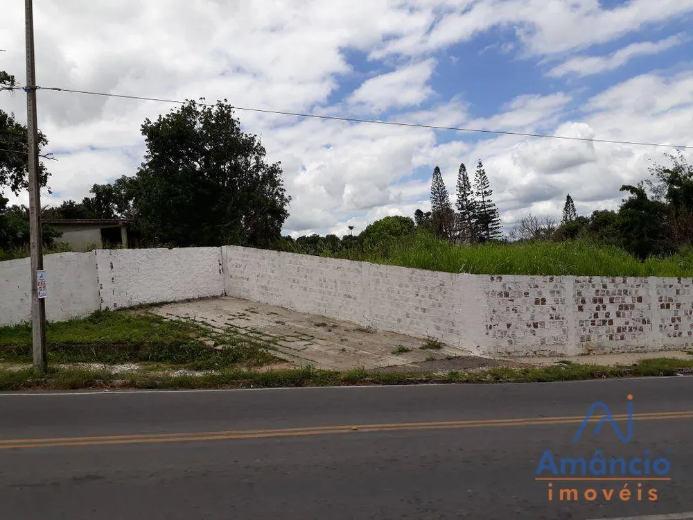 Terreno, 5000 m² - Foto 4