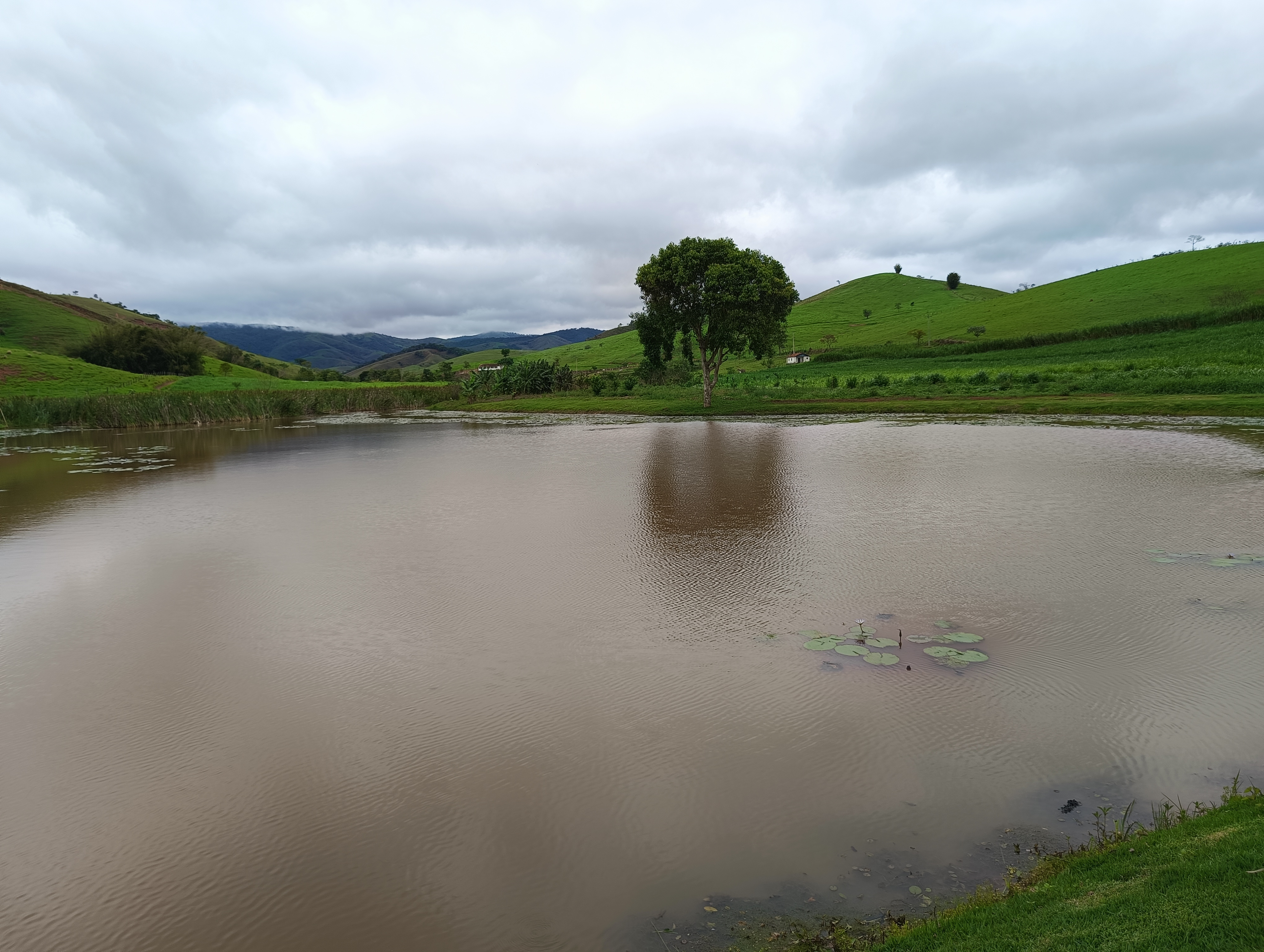 Fazenda à venda, 1000m² - Foto 22