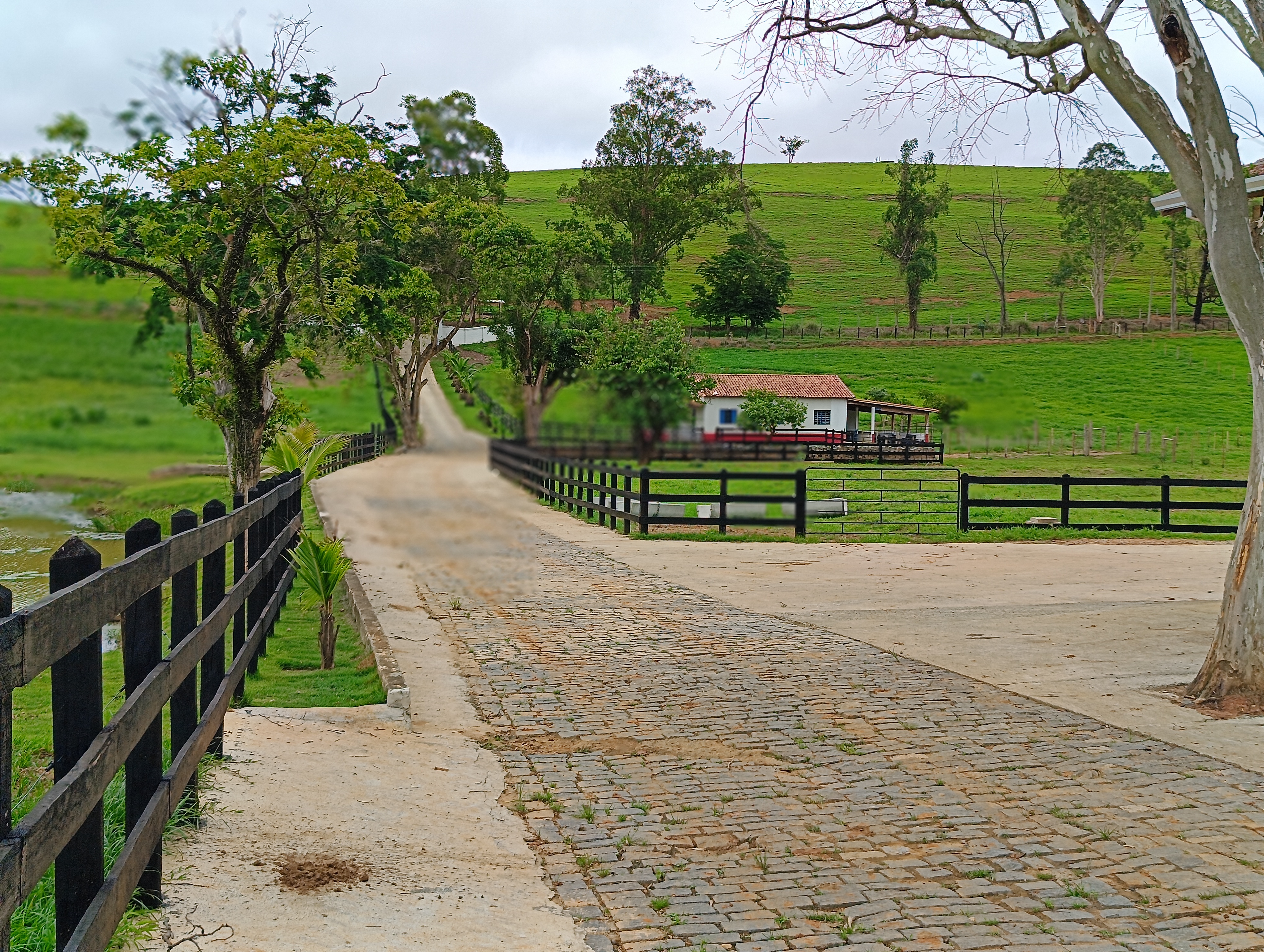 Fazenda à venda, 1000m² - Foto 27