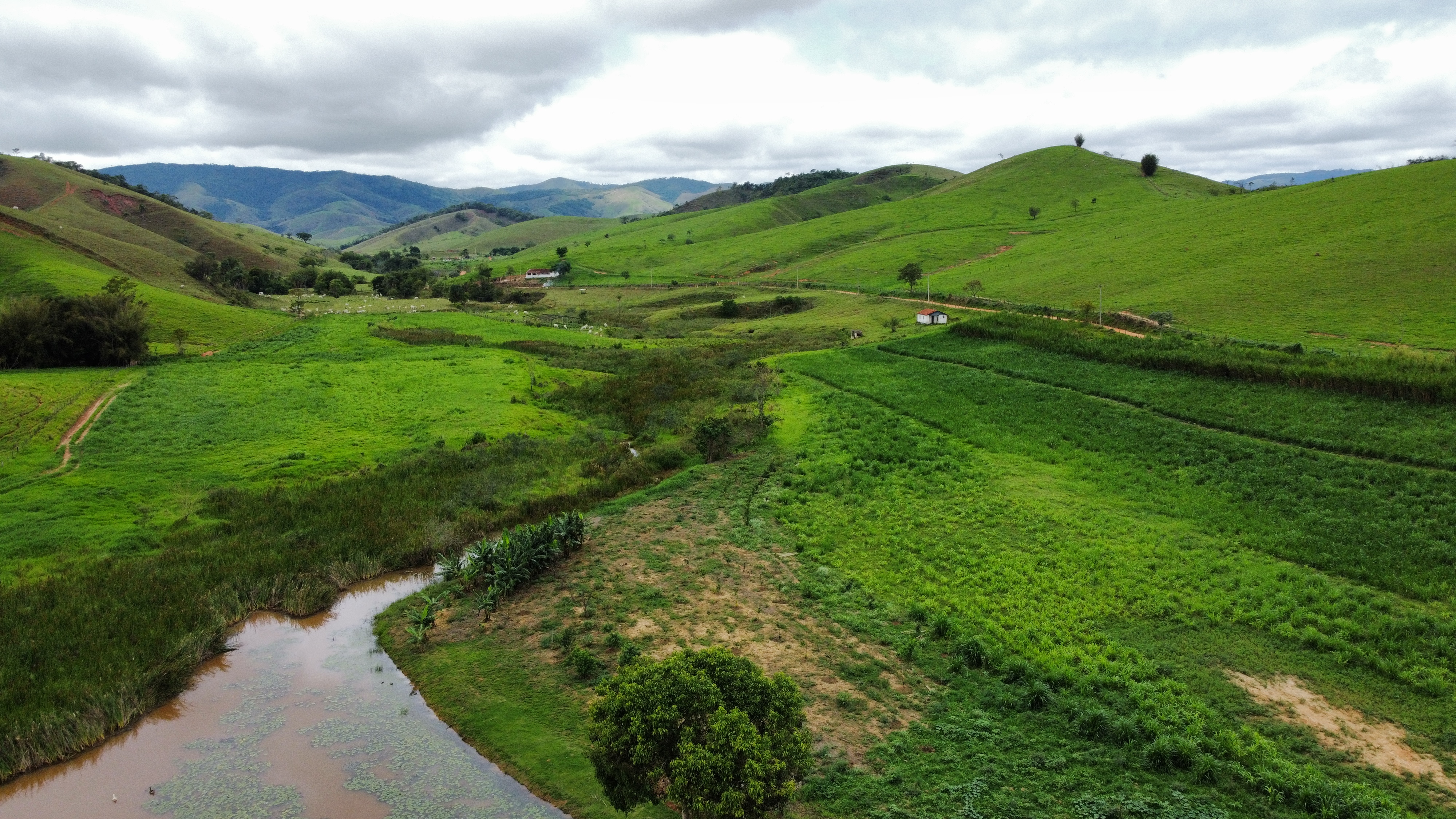 Fazenda à venda, 1000m² - Foto 13