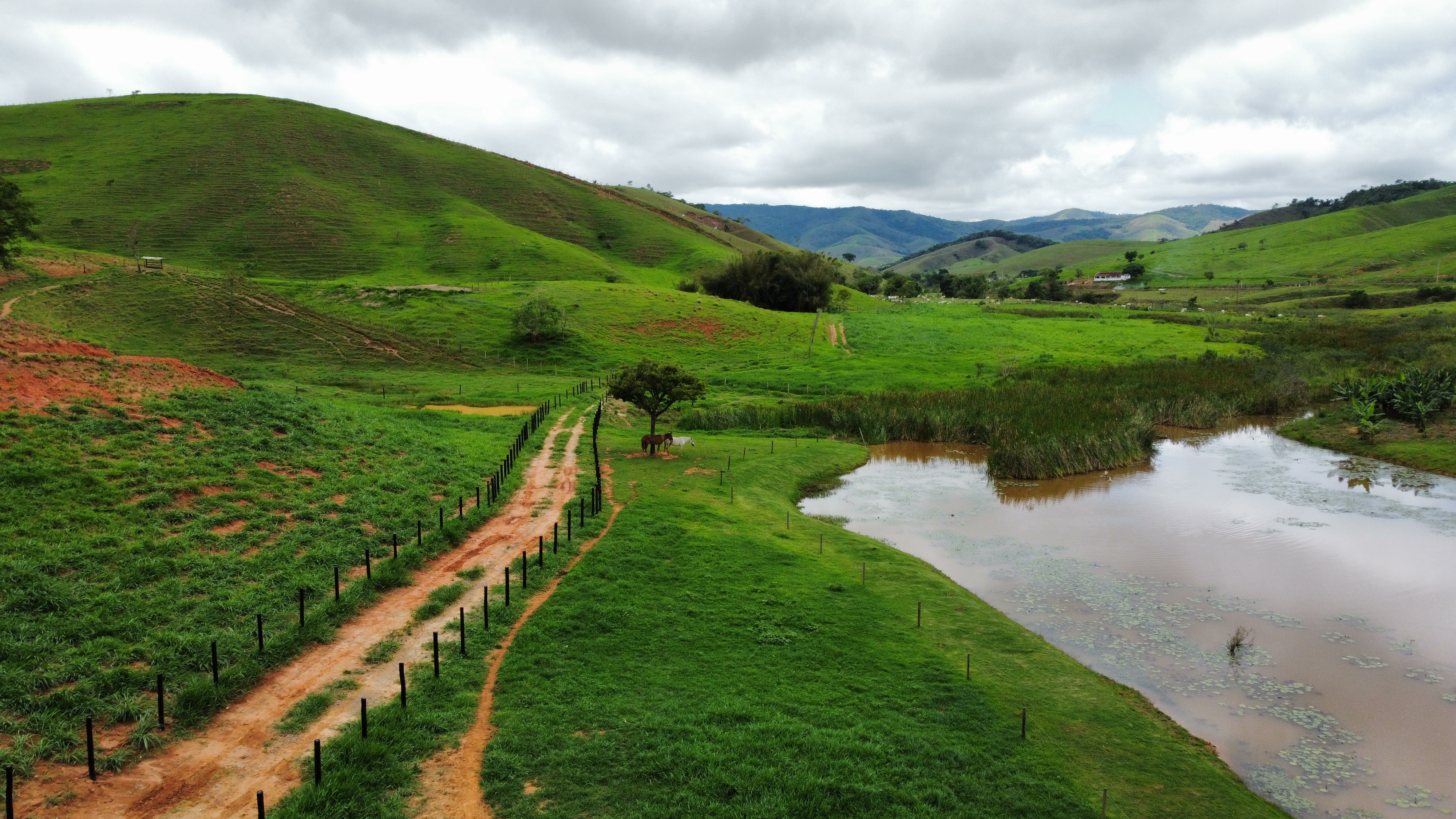 Fazenda à venda, 1000m² - Foto 12