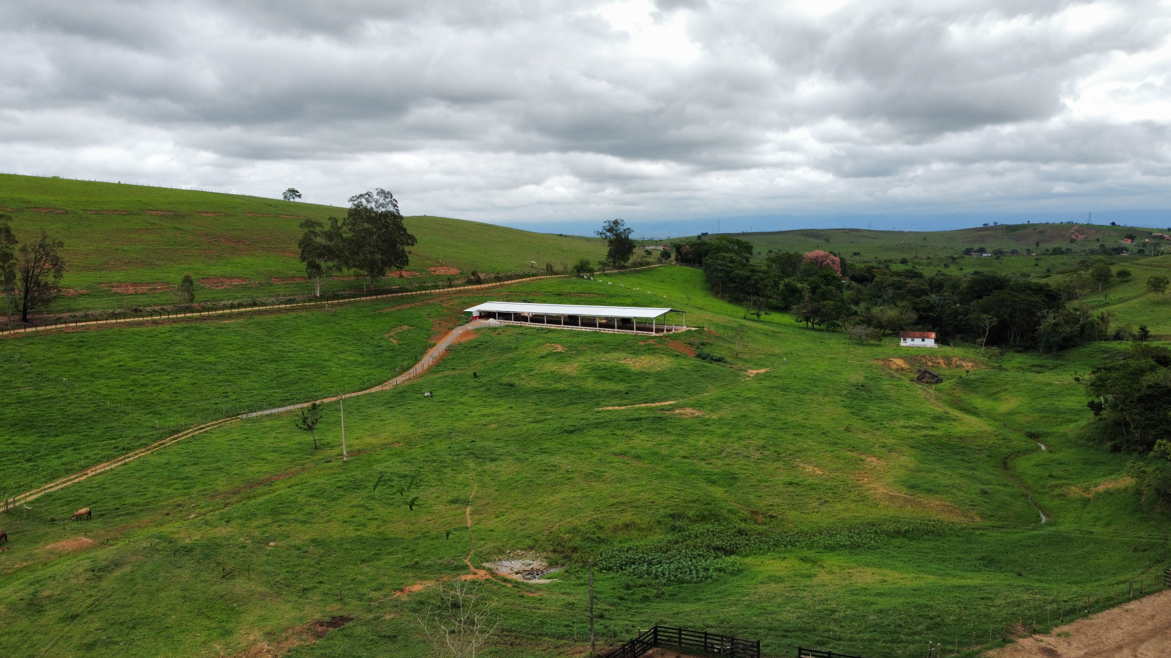 Fazenda à venda, 1000m² - Foto 7