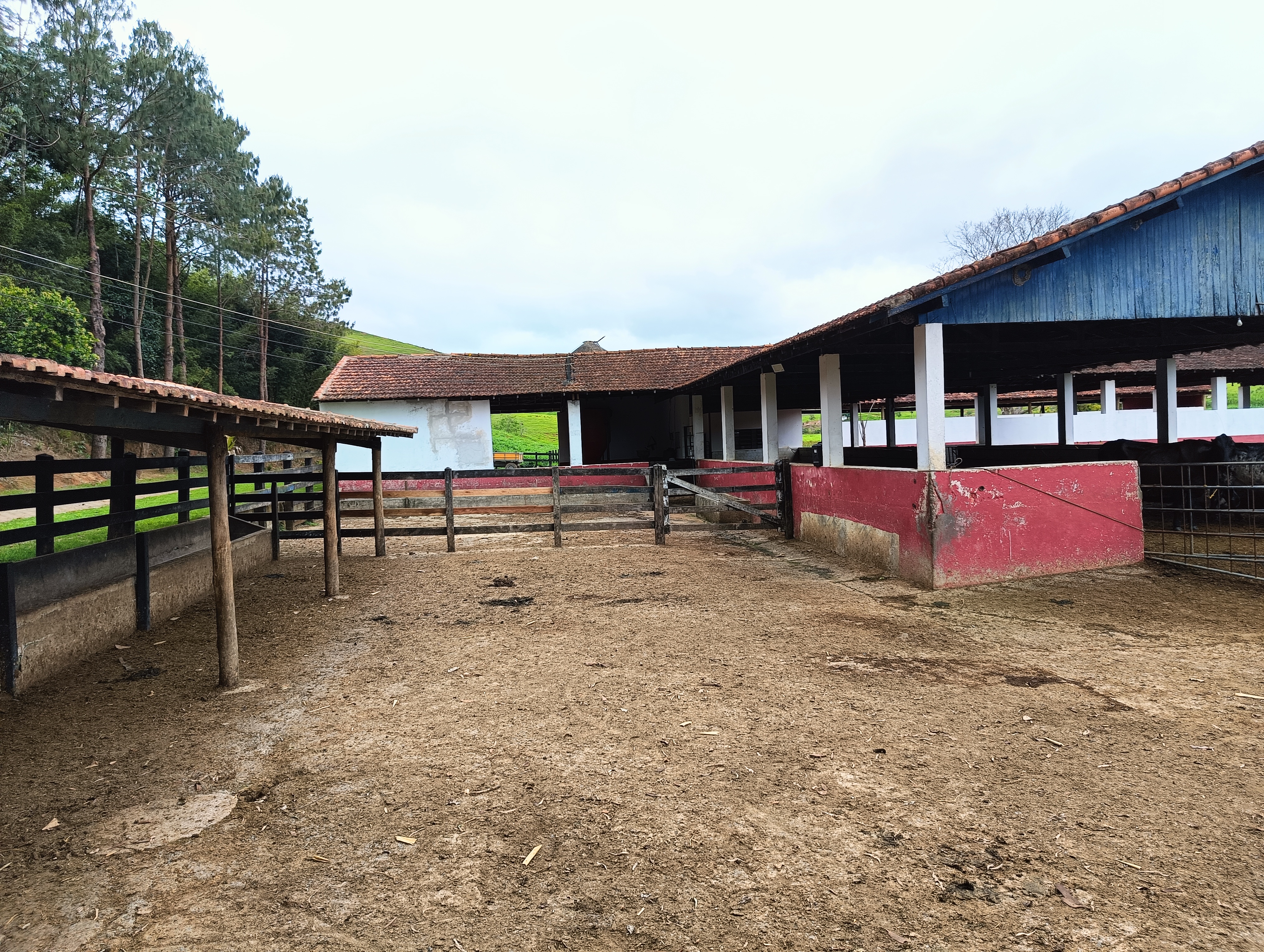 Fazenda à venda, 1000m² - Foto 3