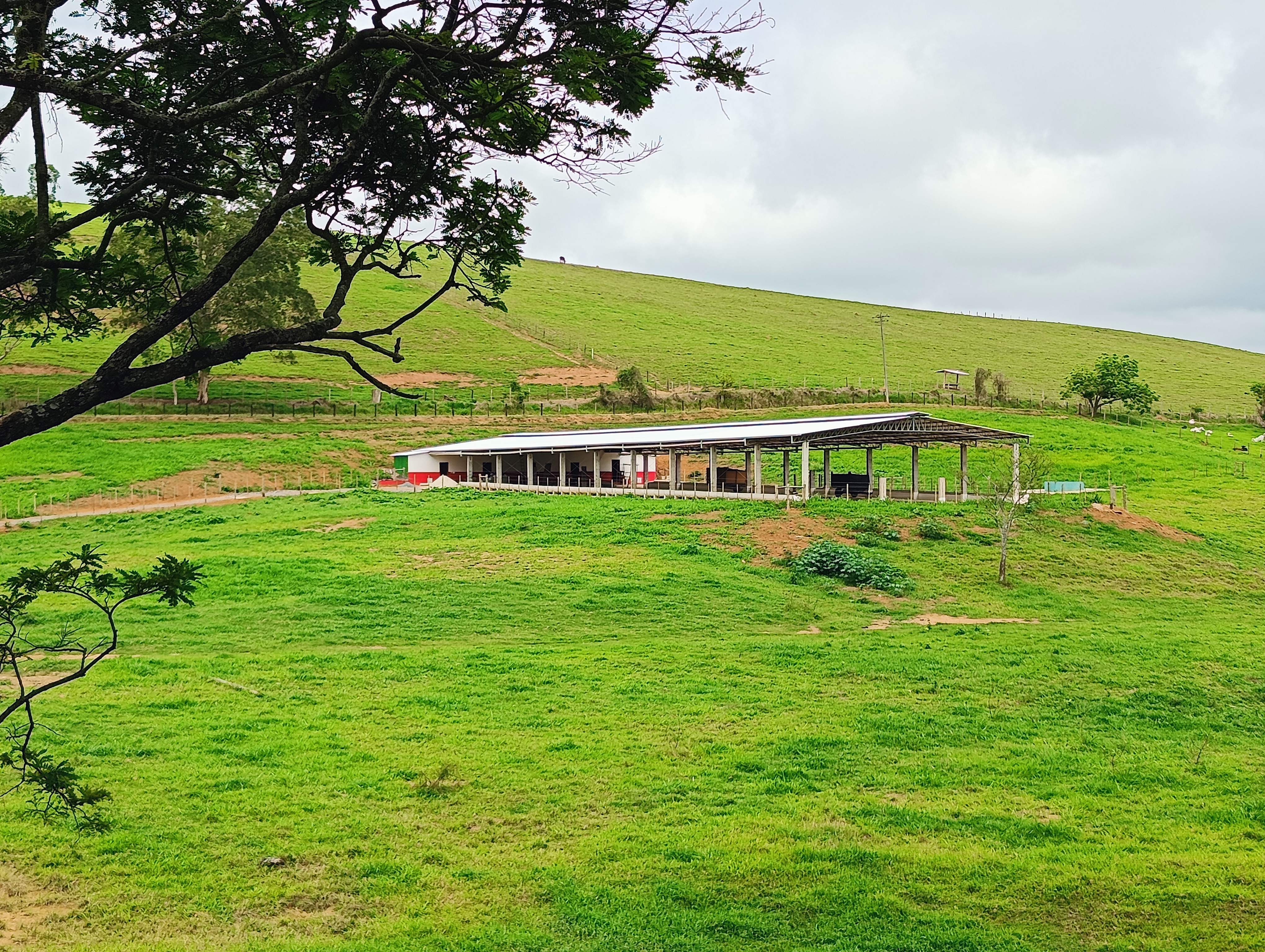 Fazenda à venda, 1000m² - Foto 5