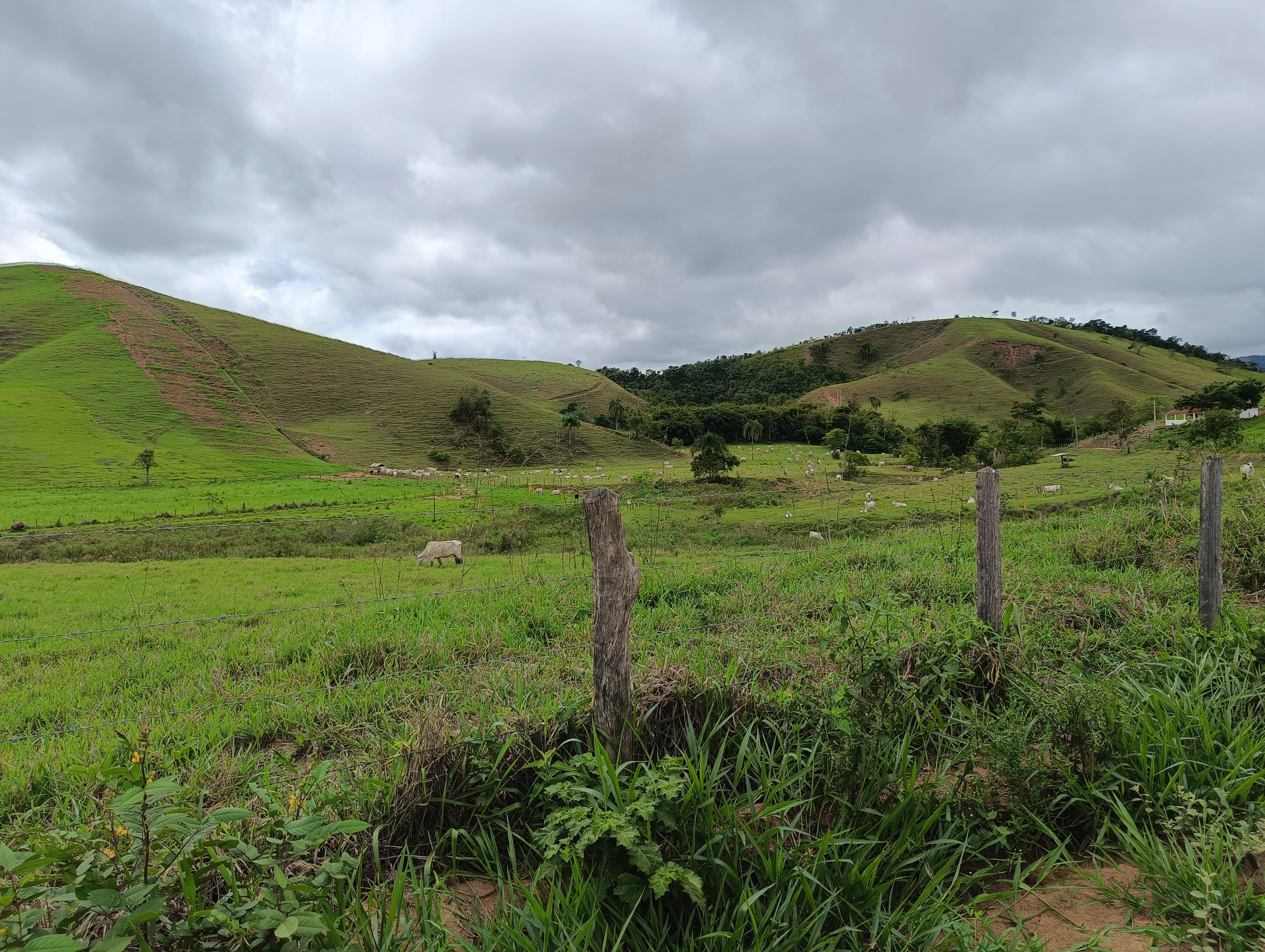 Fazenda à venda, 1000m² - Foto 4