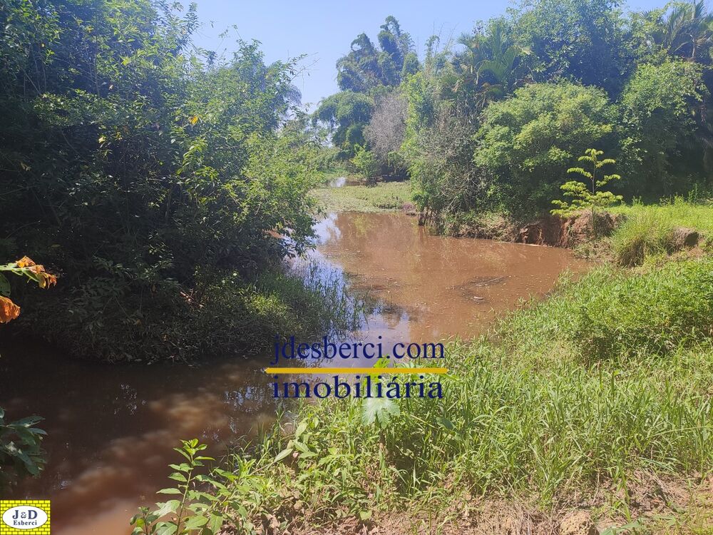 Chácara à venda com 2 quartos, 200m² - Foto 6