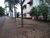 Sala-Conjunto, 340 m² - Foto 5
