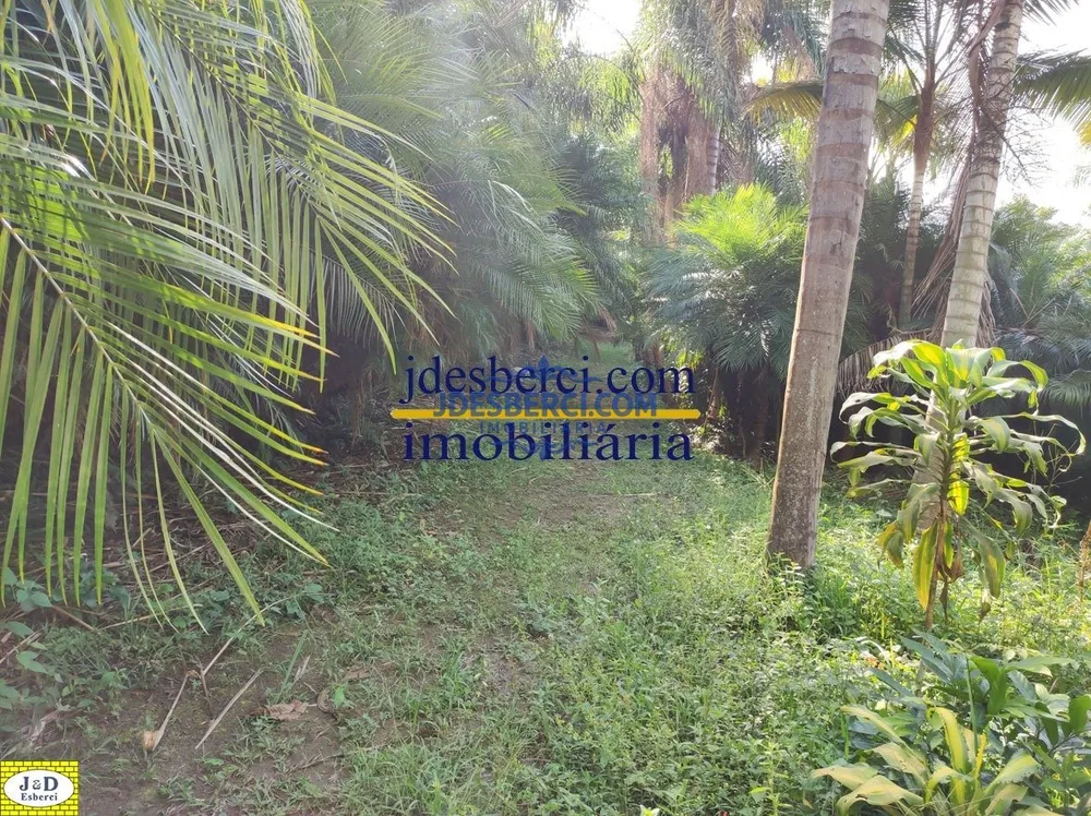 Sítio, 3 quartos, 2 hectares - Foto 15