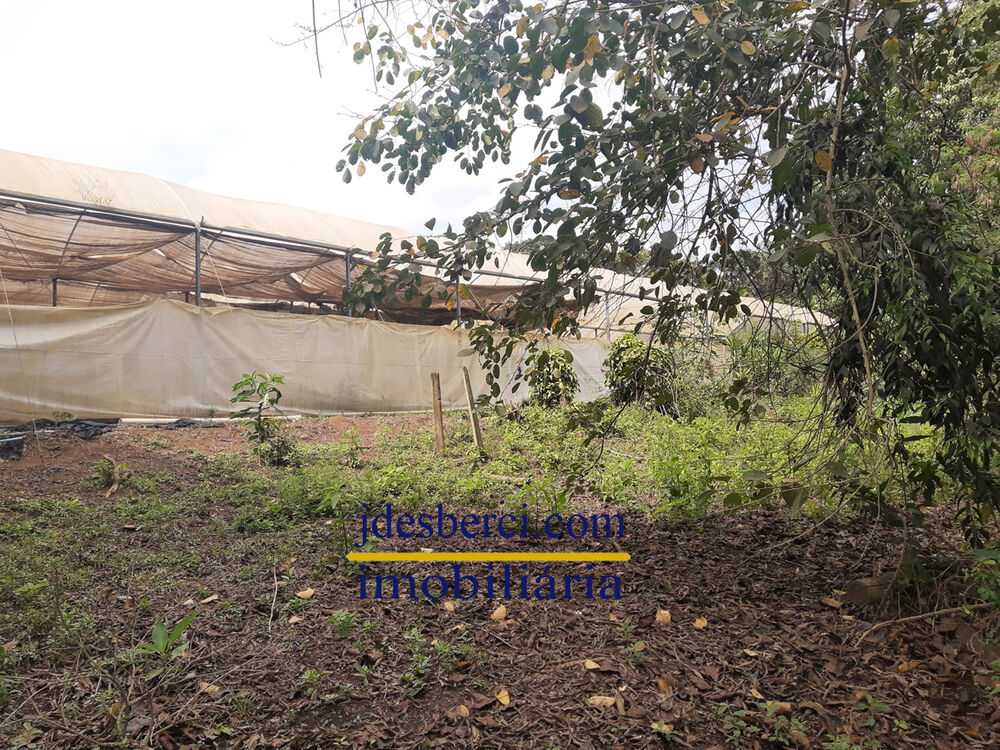 Chácara, 5 quartos, 6336 m² - Foto 27