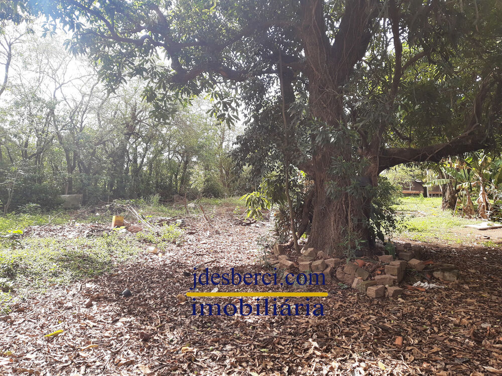 Chácara, 5 quartos, 6336 m² - Foto 13